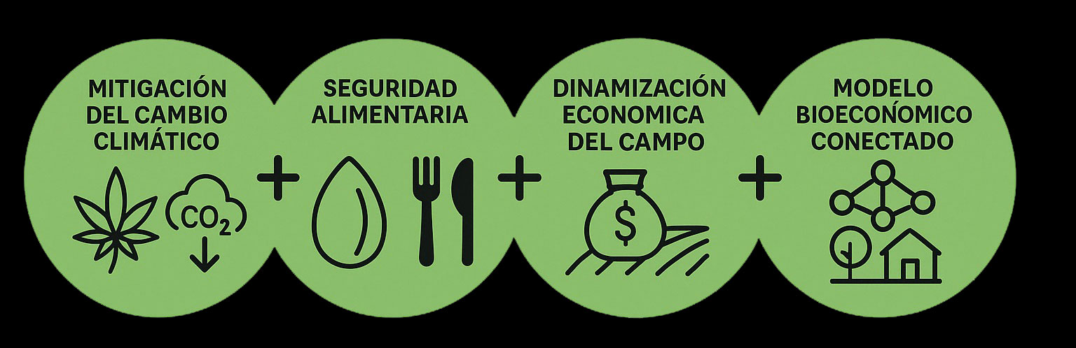 image-cambio